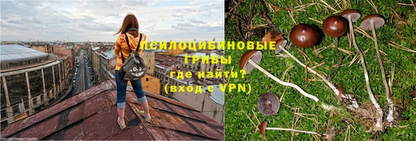 МДПВ Киреевск