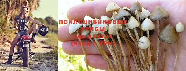 МДПВ Киреевск