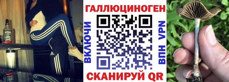 Купить  Минусинск  Псилоцибиновые грибы Magic Shrooms 
